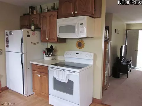 9906 Bright Dr, Windham, OH 44288 photo 8