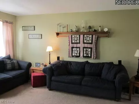 9906 Bright Dr, Windham, OH 44288 photo 3