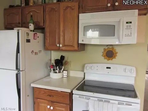 9906 Bright Dr, Windham, OH 44288 photo 7
