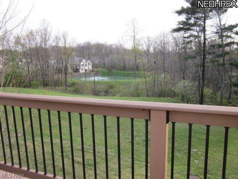 4730 Danforth Reserve, Stow, OH 44224 photo 15