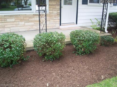 1853 Wingate, Youngstown, OH 44514 photo 2