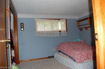 9591 Colton Rd, Windham, OH 44288 photo 12