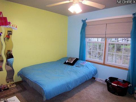 6975 Ruby Cts, Austintown, OH 44515 photo 22