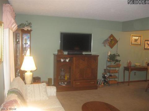 214 Hendrix Blvd, Lagrange, OH 44050 photo 8