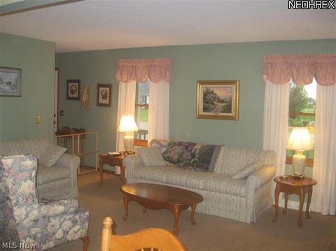 214 Hendrix Blvd, Lagrange, OH 44050 photo 9