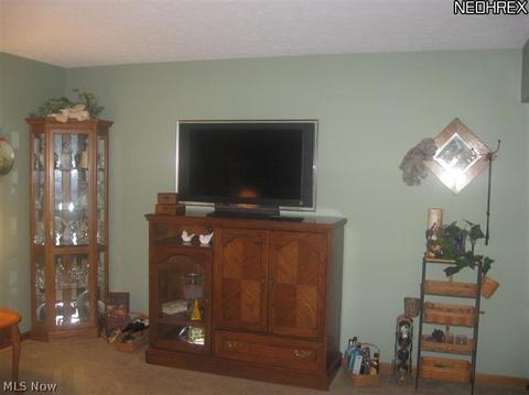 214 Hendrix Blvd, Lagrange, OH 44050 photo 10