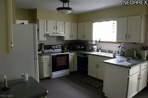 43288 Kipton Nickle Plate Rd, Lagrange, OH 44050 photo 4