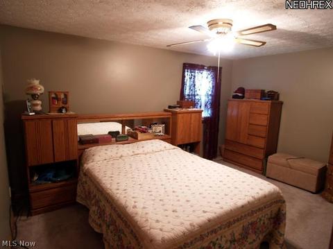 11756 Sharp Dr, Doylestown, OH 44230 photo 9