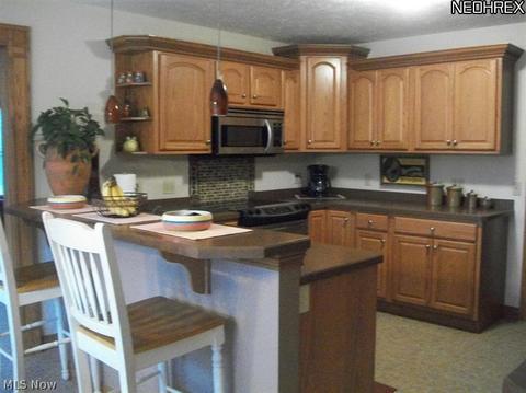 3536 Brookside Dr, Perry, OH 44081 photo 8