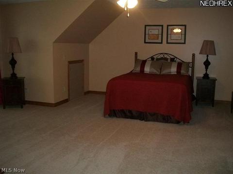 3536 Brookside Dr, Perry, OH 44081 photo 20