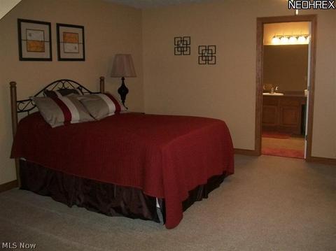 3536 Brookside Dr, Perry, OH 44081 photo 19