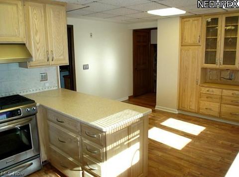 22967 Ivan Ave, Euclid, OH 44123 photo 11