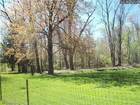 3169 Padanarum Rd, Geneva, OH 44041 photo 18