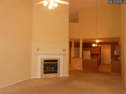 143 Granger Dr, Lagrange, OH 44050 photo 4