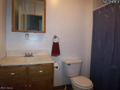 457 Stallion Ct, Lagrange, OH 44050 photo 15