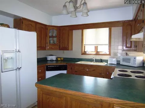 457 Stallion Ct, Lagrange, OH 44050 photo 8