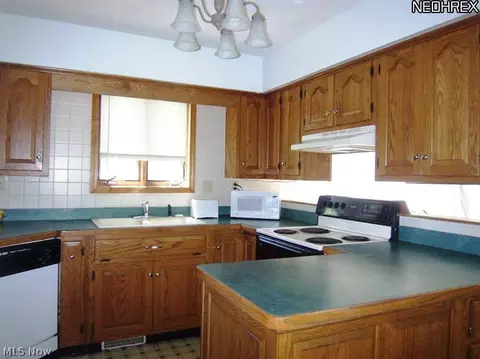 457 Stallion Ct, Lagrange, OH 44050 photo 9