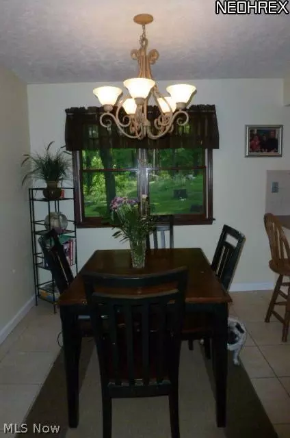 7375 Cool Rd, Canfield, OH 44406 photo 6