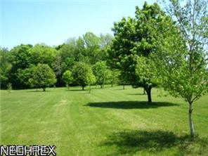 8992 Hayes Rd, Kinsman, OH 44428 photo 6