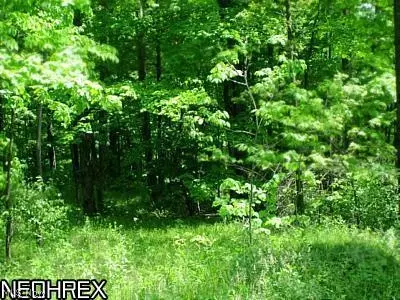 8992 Hayes Rd, Wayne, OH 44428 photo 24