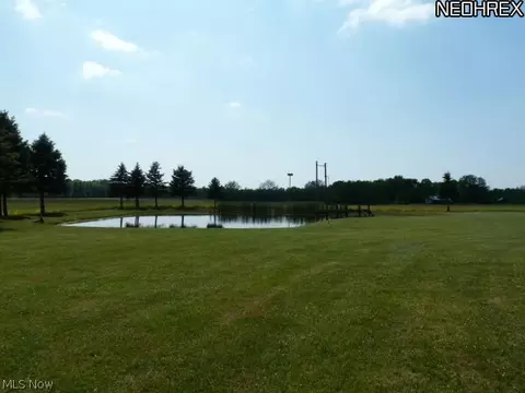 43205 State Route 303, Lagrange, OH 44050 photo 22