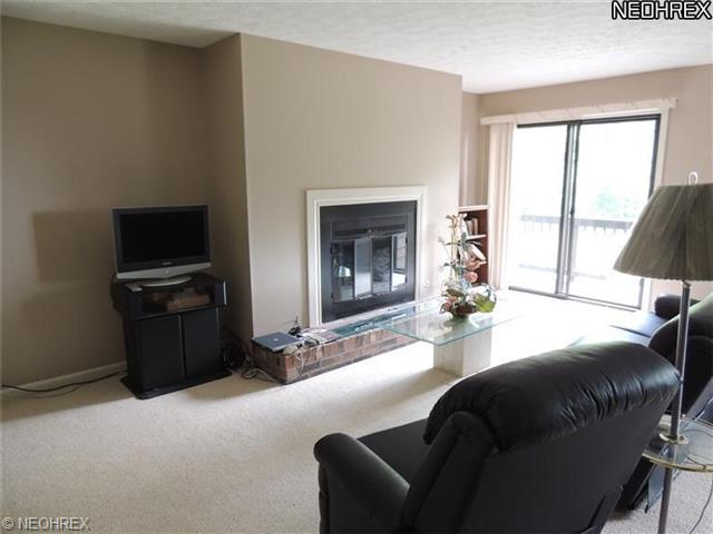 1175 E Calla Rd #b104, Youngstown, OH 44514 photo 2