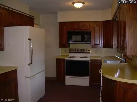 1905 Thane Ave, Akron, OH 44301 photo 22