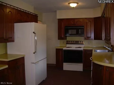 1905 Thane Ave, Akron, OH 44301 photo 23