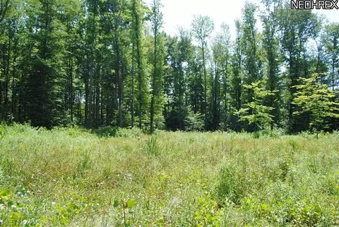9065 Knotty Pine Ln, Chardon, OH 44024 photo 10