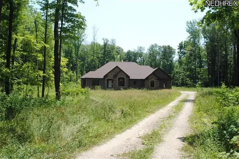 9065 Knotty Pine Ln, Chardon, OH 44024 photo 14