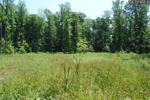 9065 Knotty Pine Ln, Chardon, OH 44024 photo 7
