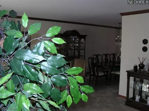 170 Brookvalley Dr, Elyria, OH 44035 photo 2