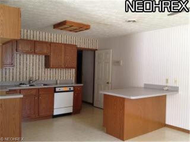 124 Brace Ave, Elyria, OH 44035 photo 3