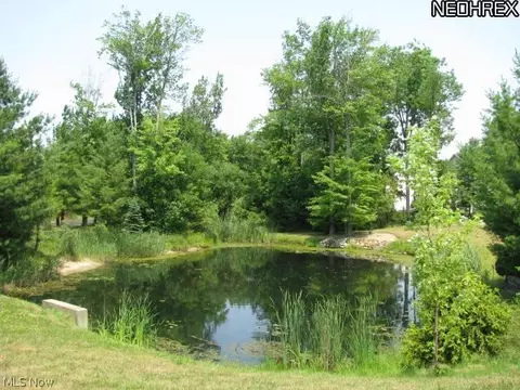 105 Cedar Gln, Chardon, OH 44024 photo 9