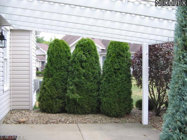7846 Walnut St, Youngstown, OH 44512 photo 10
