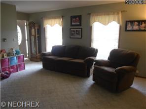 624 Cathy Ann Dr, Youngstown, OH 44512 photo 3