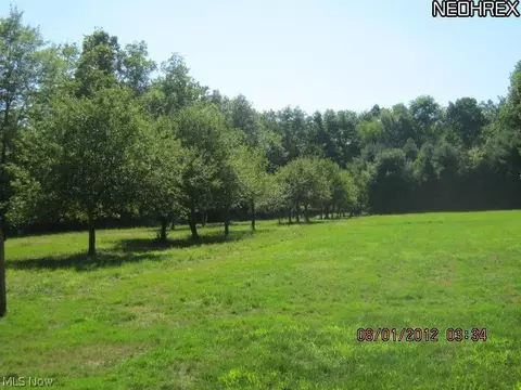 7669 Lanese Dr, Windsor, OH 44099 photo 4
