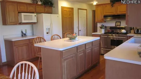 12701 Cissell Ln, Lagrange, OH 44050 photo 9