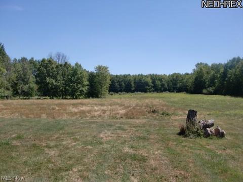 11109 Lagrange Rd, Elyria, OH 44035 photo 16