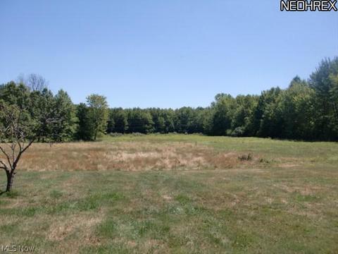 11109 Lagrange Rd, Elyria, OH 44035 photo 15