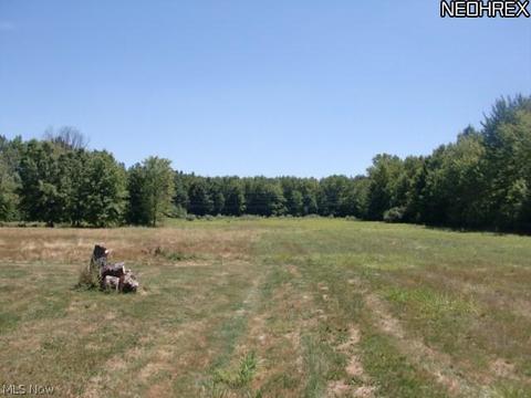 11109 Lagrange Rd, Elyria, OH 44035 photo 17