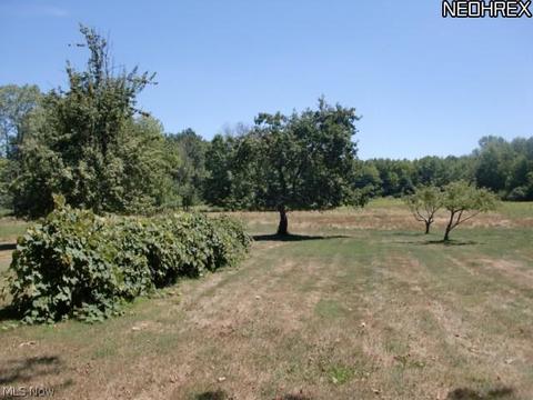 11109 Lagrange Rd, Elyria, OH 44035 photo 13