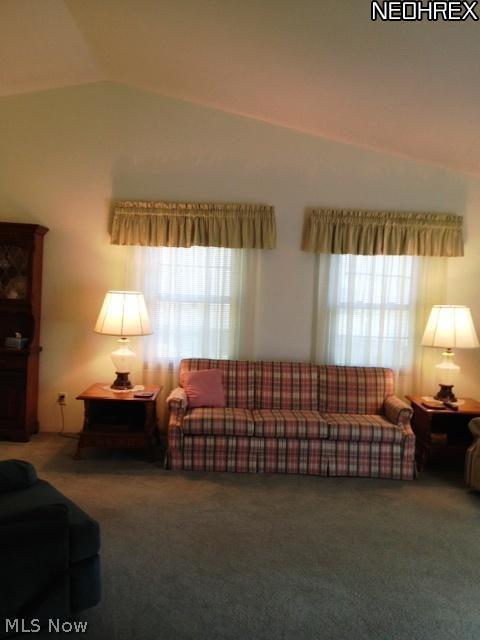 6833 Olde Meadows Ct, Mentor, OH 44060 photo 10
