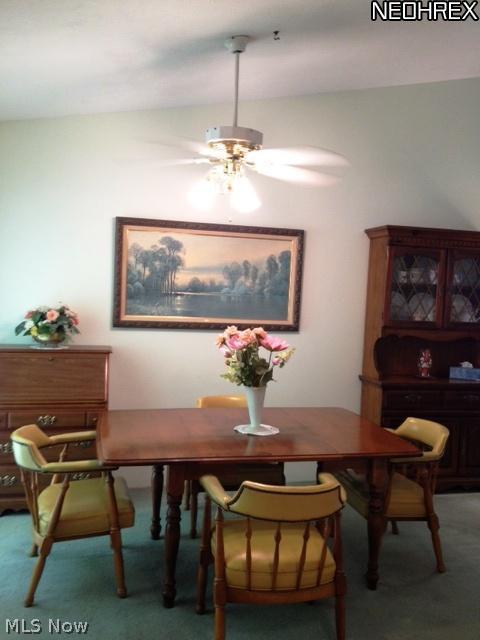 6833 Olde Meadows Ct, Mentor, OH 44060 photo 7