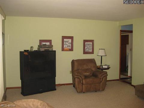 3480 Maple Rd, Jefferson, OH 44047 photo 6