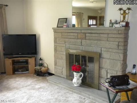 252 E Beech, Alliance, OH 44601 photo 4