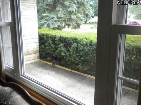252 E Beech, Alliance, OH 44601 photo 15