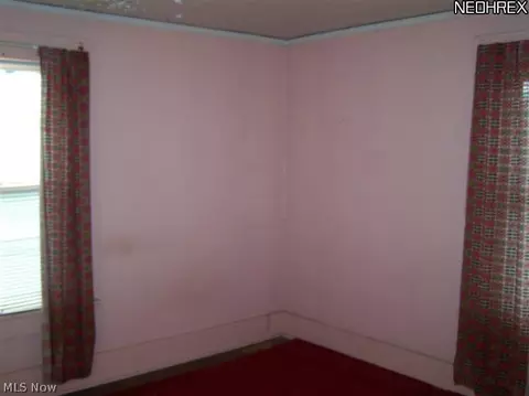 703 Noah Ave, Akron, OH 44320 photo 7
