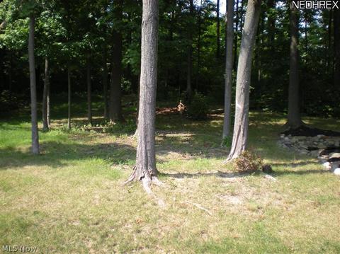 247 Ruby Ln, Streetsboro, OH 44241 photo 8