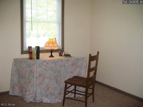 9026 Wilverne Dr, Windham, OH 44288 photo 10